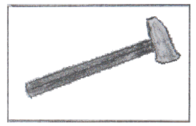 Bild privates Wappen