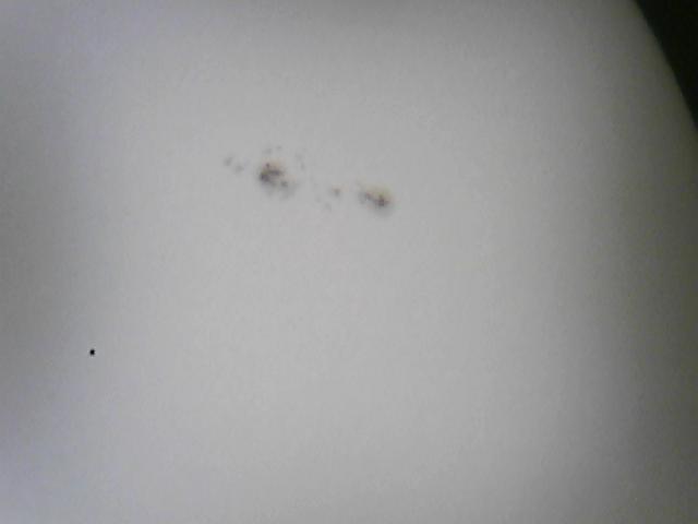 Bild Foto Sonne 22.04.2013